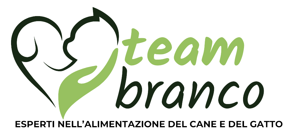 Logo Team Branco 2024