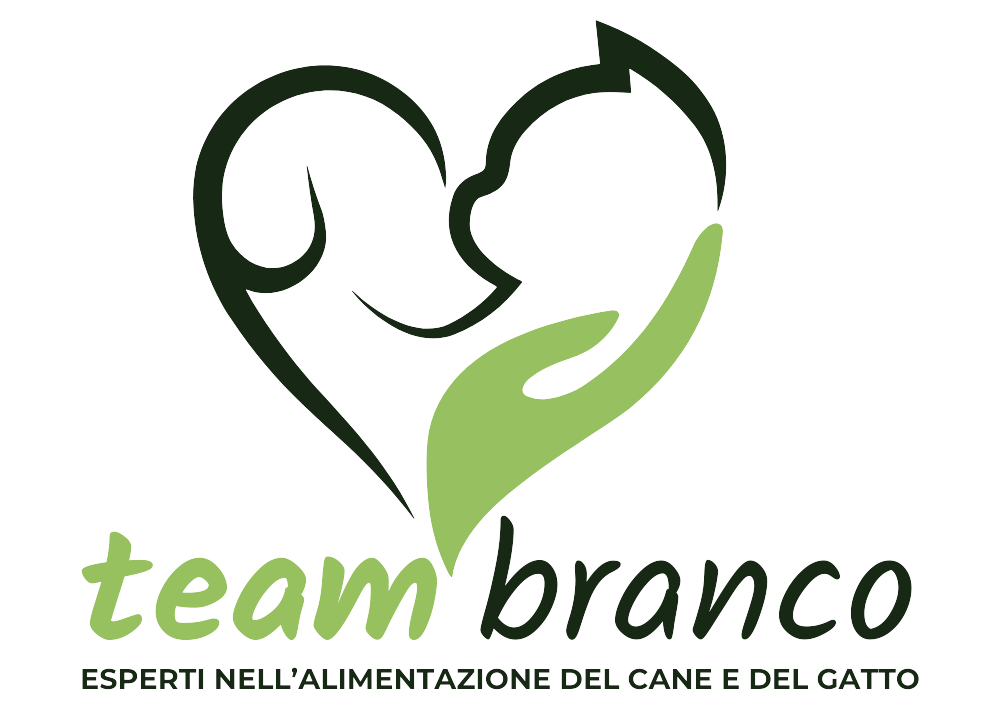 Logo Team Branco 2024