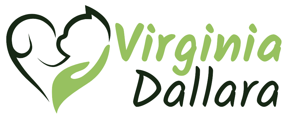 Logo Virginia Dallara 2024